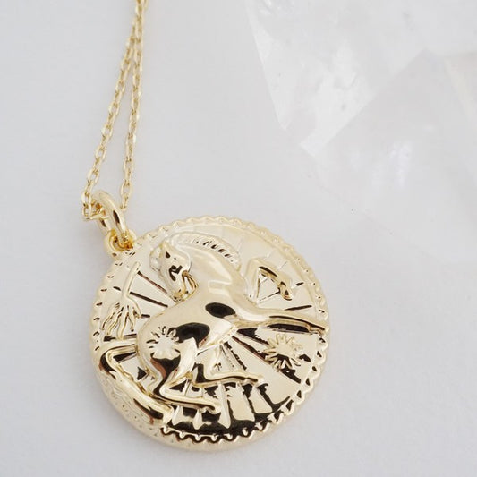 Chinese Zodiac Coin Necklace - Horse